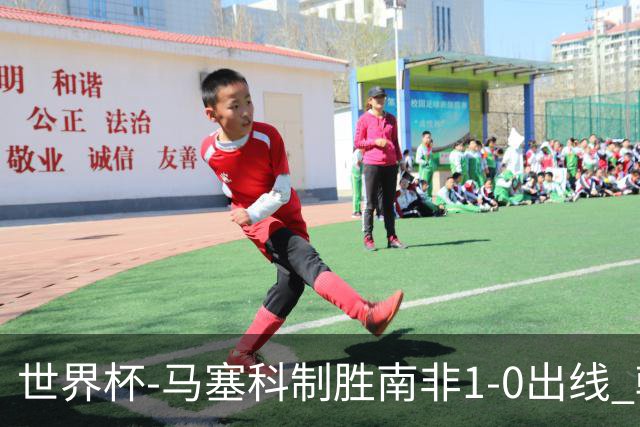 世界杯-马塞科制胜南非1-0出线 韩国积3分获小组第三待定