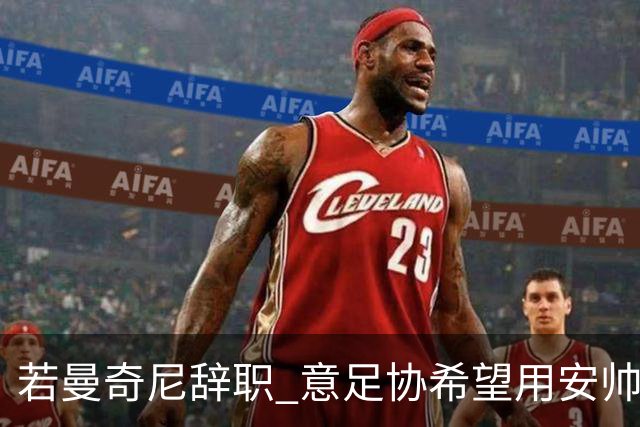若曼奇尼辞职 意足协希望用安帅或卡纳瓦罗替代